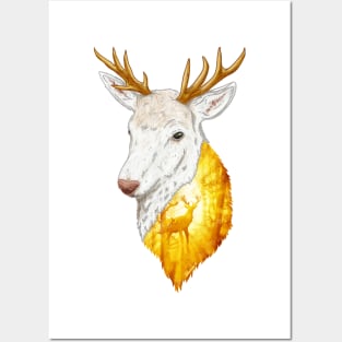 Enchanted Stag Posters and Art